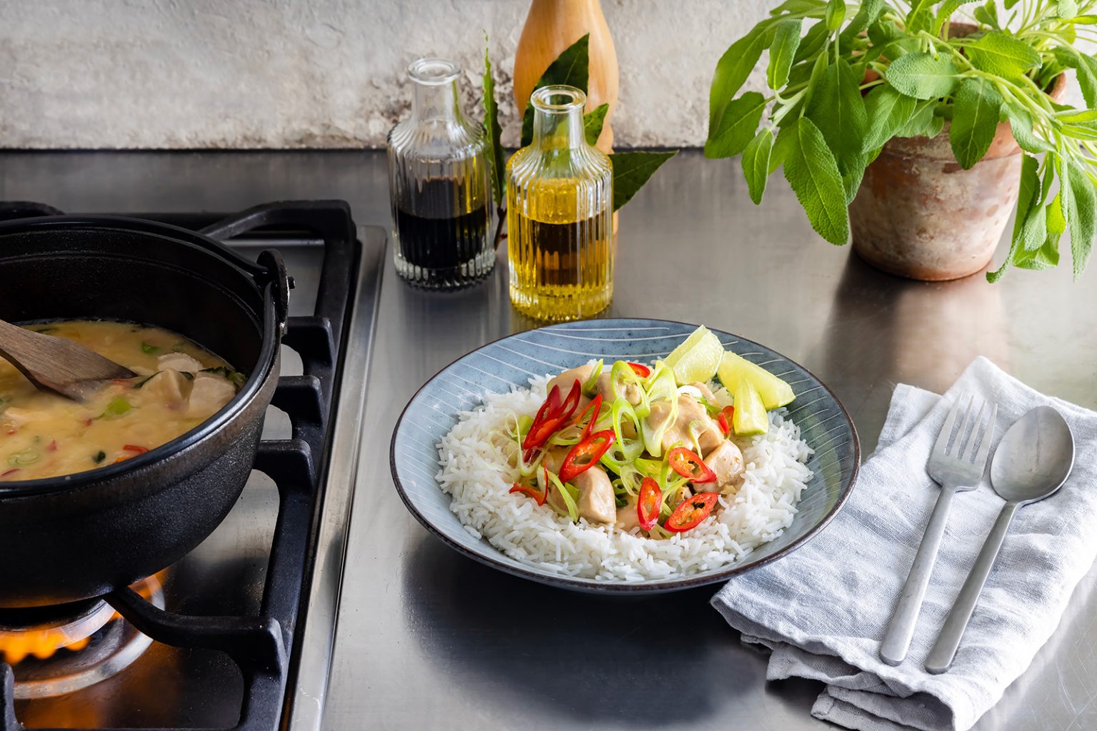 Mango-chilikanapata